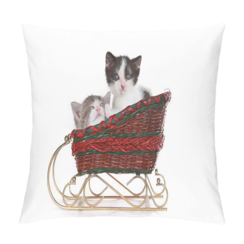 Personality  Kittens In A Santa Christmas Sleigh Pillow Covers