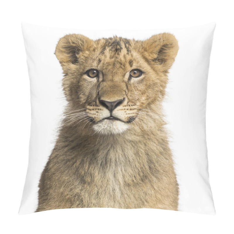 Personality  Close-up Of A Lion Cub Looking At The Camera Pillow Covers