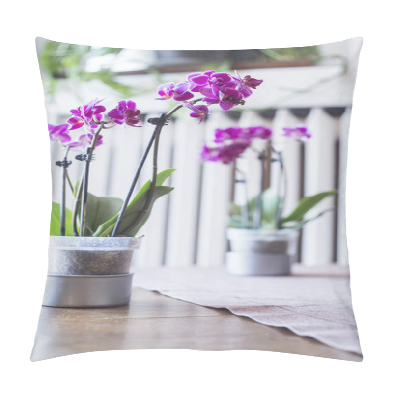 Personality  Close Up Of Home Plants On The Wooden Table With Violet Flowers. Modern Floral Composition . Pillow Covers