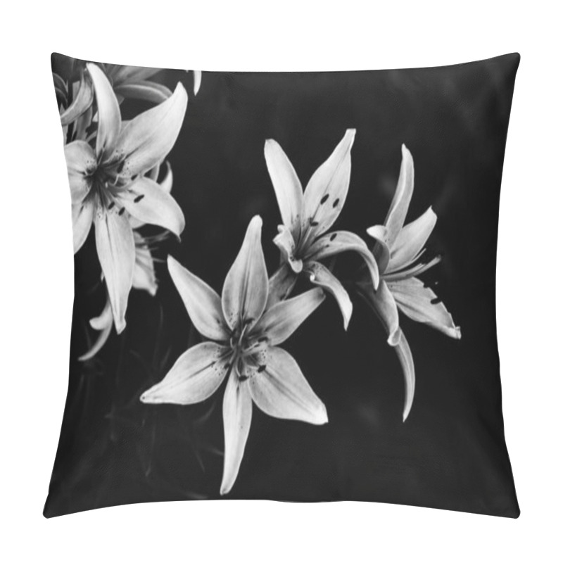 Personality  Black And White Flowers. Abstract Background Of Plants And Flower Silhouettes. Stylish Pattern. Contrast Image Pillow Covers