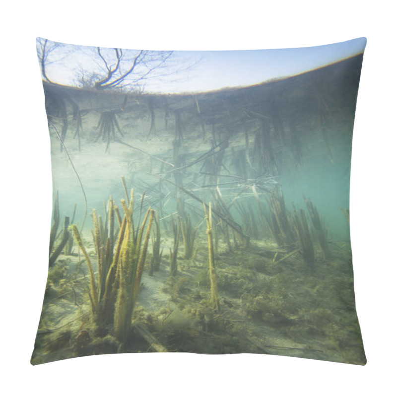 Personality  Beautiful And Romantic Underwater Landscape With Reed (Typha) In The Clear Pound. Underwater Shot In The Lake. Nature Habitat. Pillow Covers