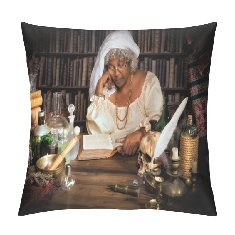 Personality  Alchemist At Study Pillow Covers