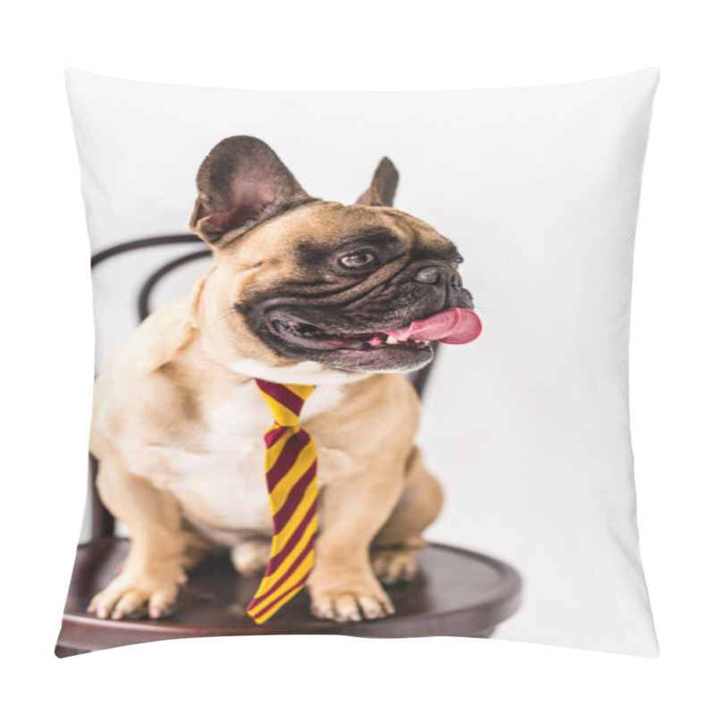 Personality  Bulldog In Striped Necktie Pillow Covers