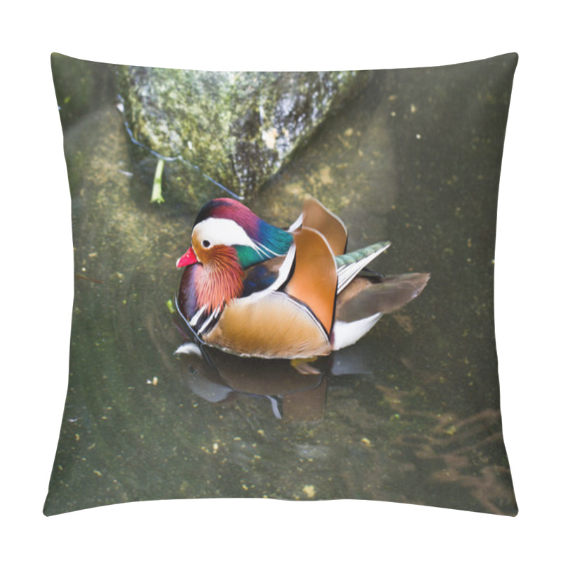 Personality  Mandarin Duck (Aix Galericulata) Male Pillow Covers