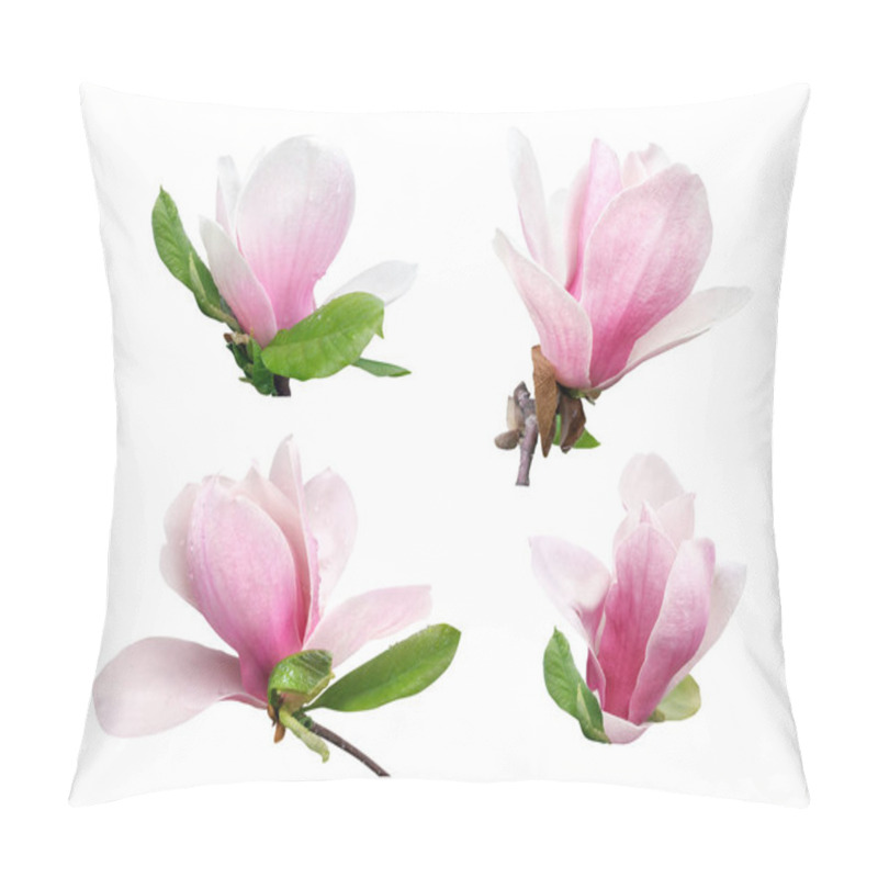 Personality  Pink Magnolia Flowers Isolated On White Background Pillow Covers