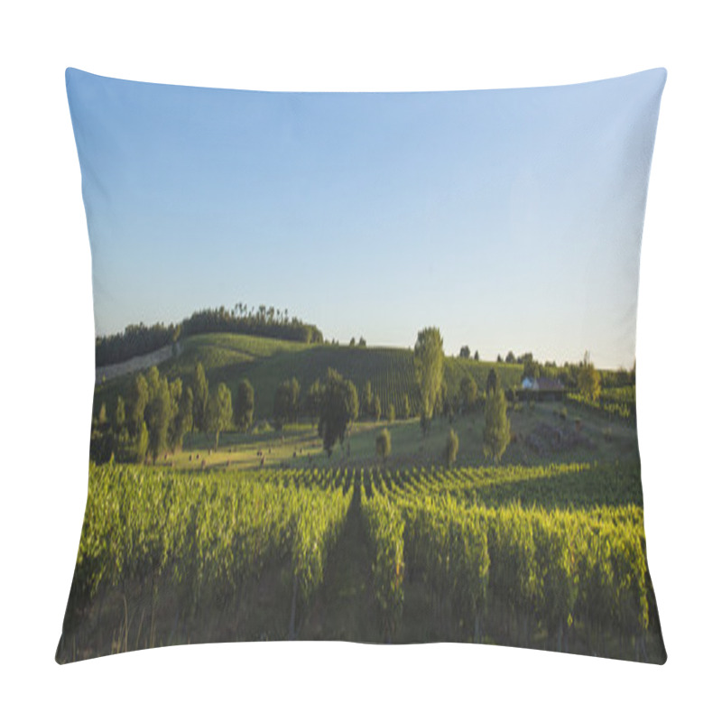 Personality  Vineyard South West Of France, Bordeaux Vineyards, Saint-Emilion Pillow Covers