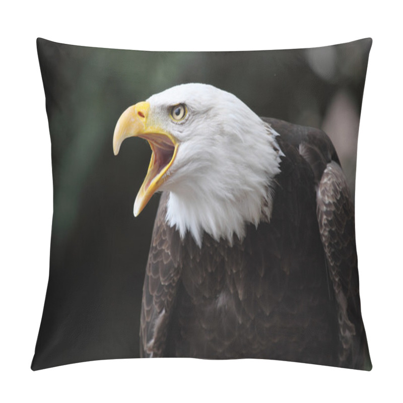 Personality  Bald Eagle Pillow Covers