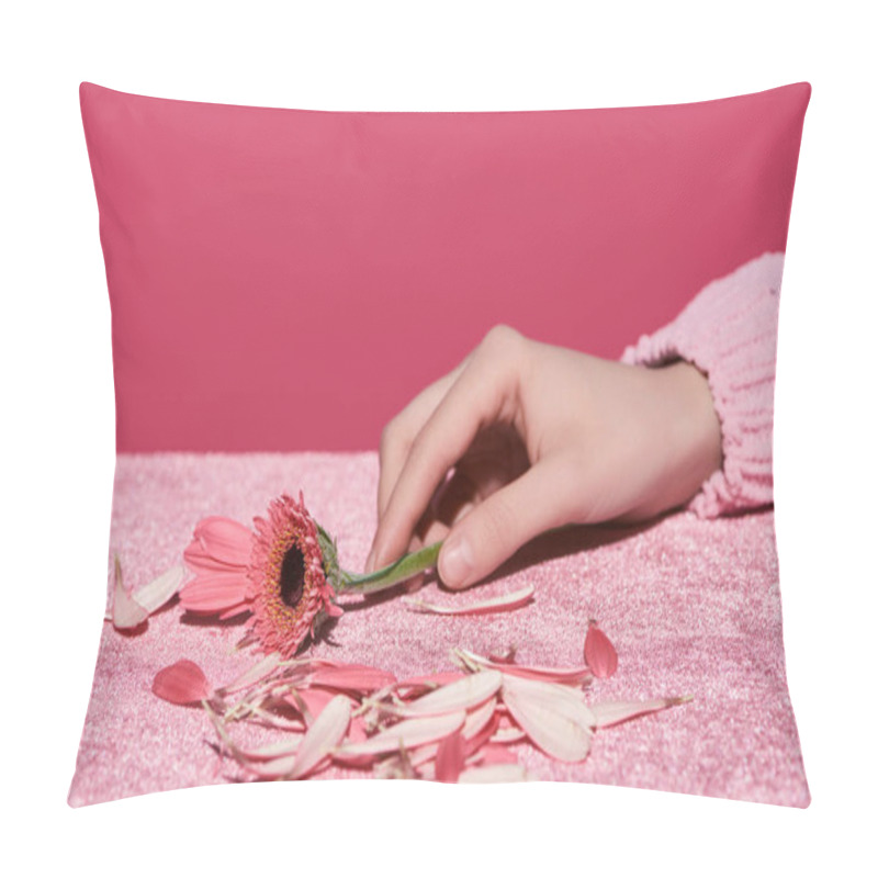 Personality  Cropped View Of Woman Holding Gerbera Near Petals On Velour Cloth Isolated On Pink, Girlish Concept  Pillow Covers