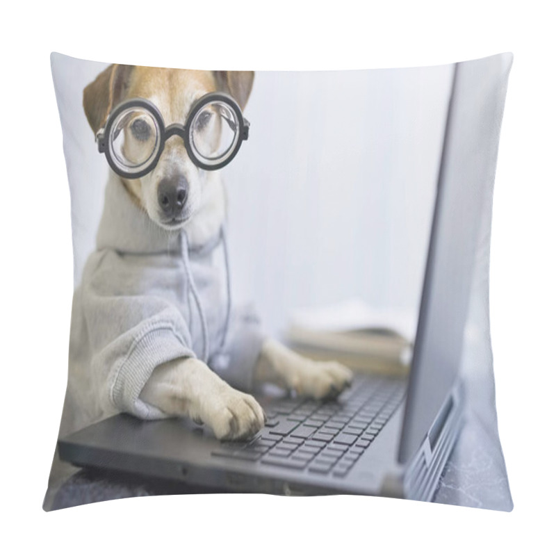 Personality  Adorable Dog In Glasses Working With Computer. Wearing Sporty Stylish Hoodie. Freelancer Work From Home During Quarantine Social Distancing Lifestyle. Stay At Home. Horizontal Composition Pillow Covers