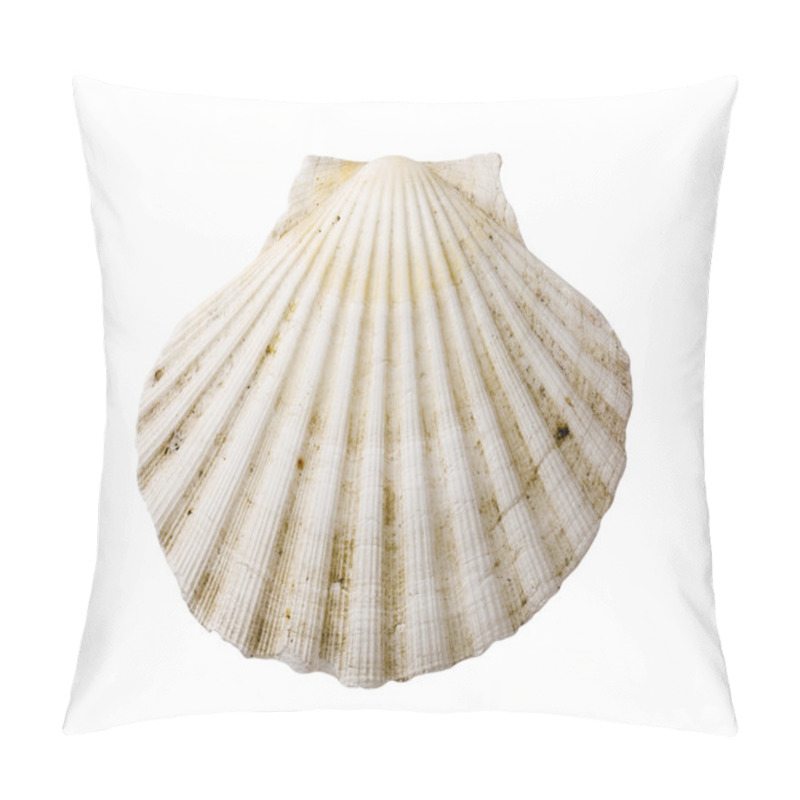 Personality  Scallop Shell Pillow Covers