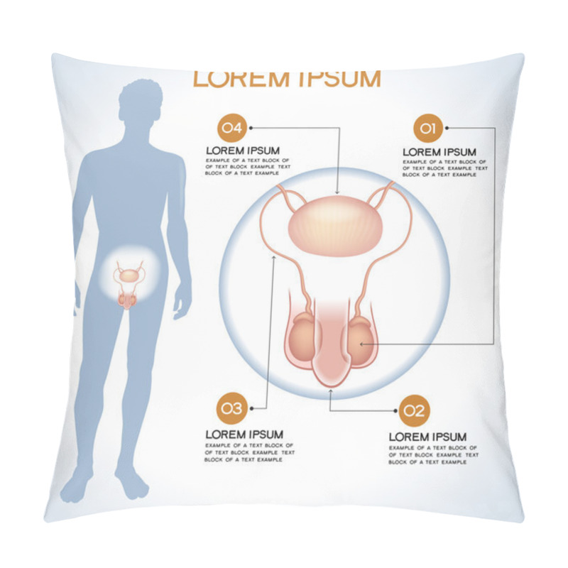 Personality  Penis. Modern Medical Infographics.  Pillow Covers