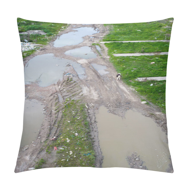 Personality  Concept Or Conceptual Unhygienic Polluted River,sewage Or Dirty Water And Grass With Waste,trash And Dump Background Pillow Covers