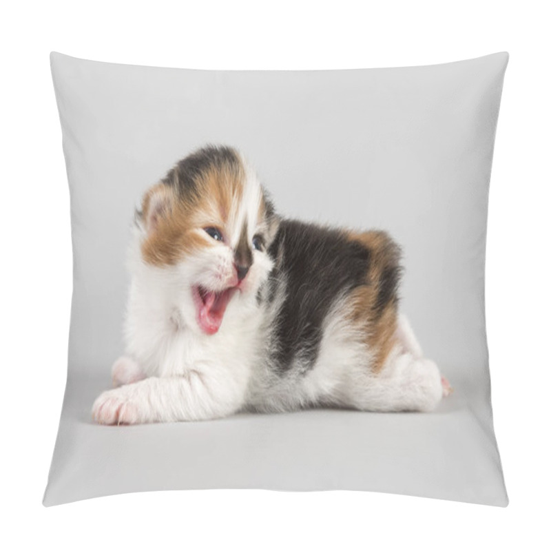 Personality  Young Animals, Selective Focus Pillow Covers