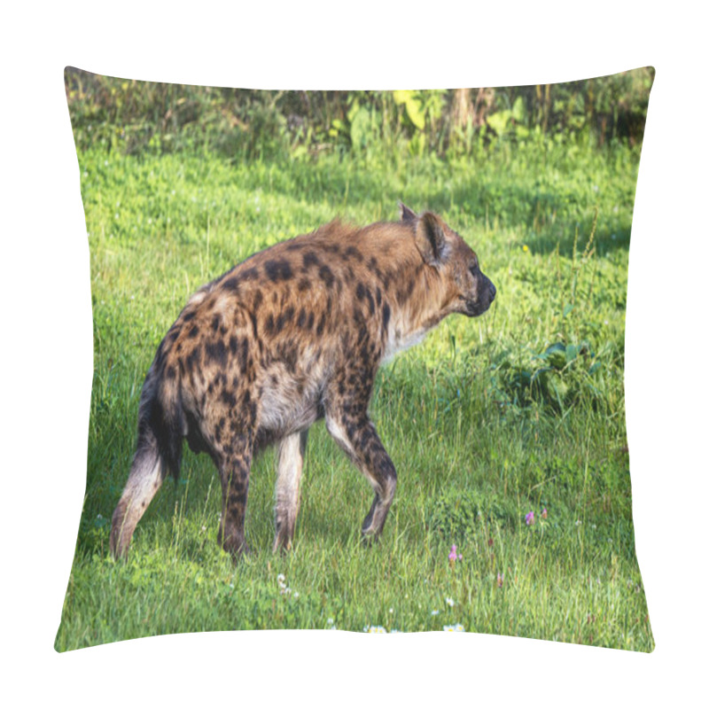 Personality  Spotted Hyena - Crocuta Crocuta - Walking Though Green Grass Pillow Covers