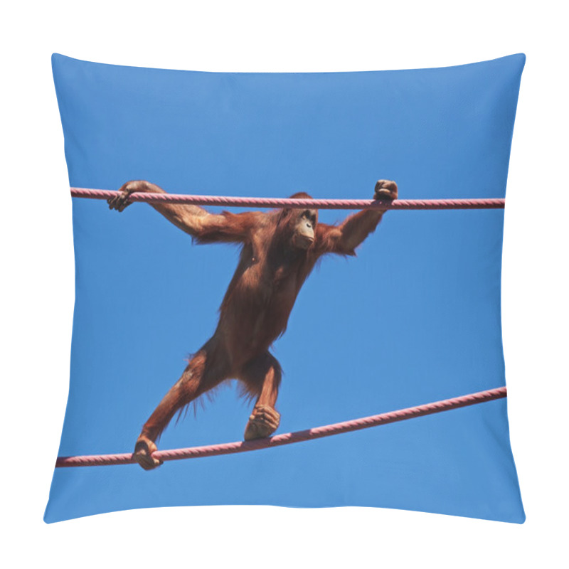 Personality  Orangutan Pillow Covers