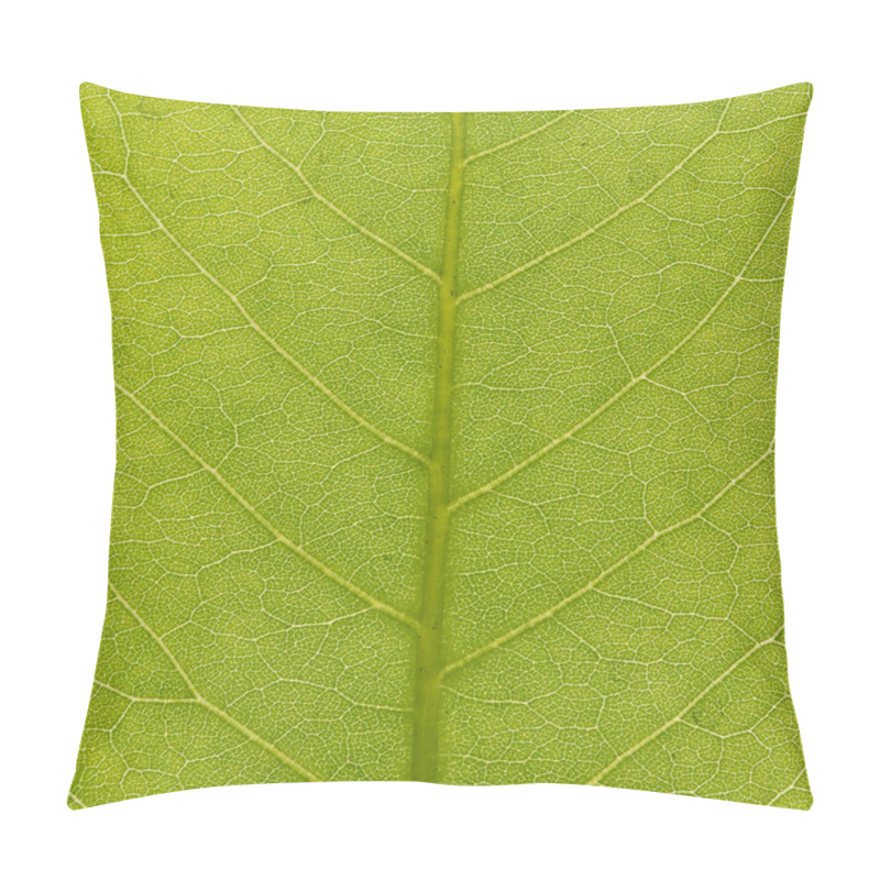 Personality  Green Leaf Texture, Closeup Pillow Covers