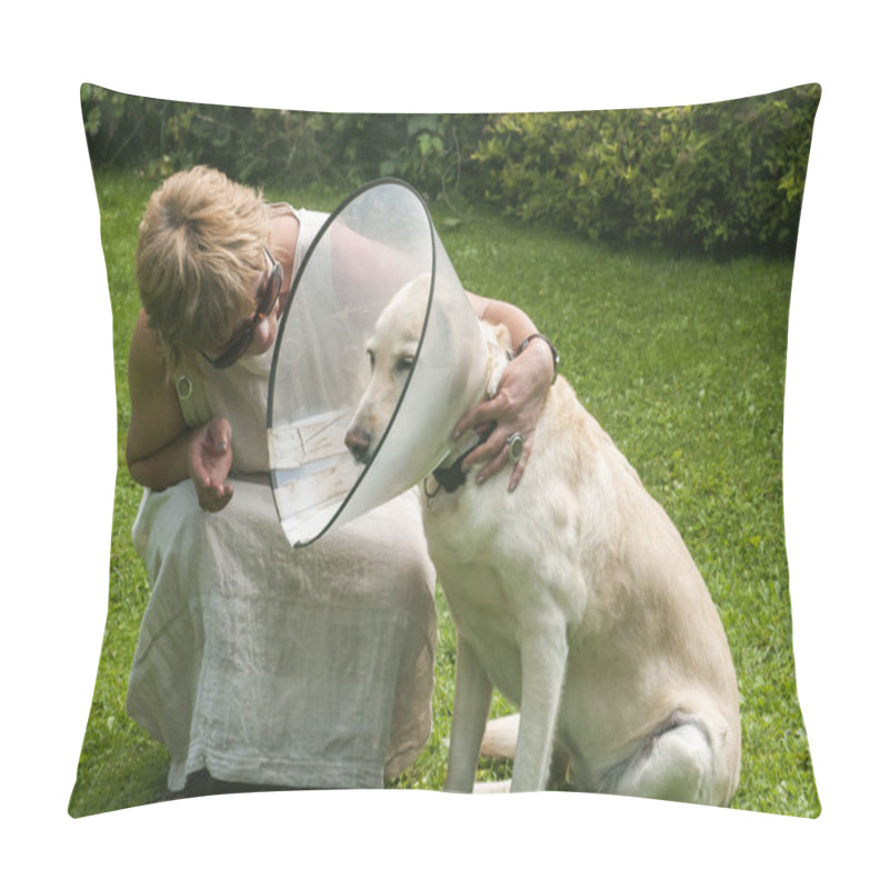 Personality  A Woman Hugging Labrador Dog Wearing Elizabethan Plastic Cone Medical Collar Around Neck For Anti-bite Wound Protection On Green Grass Meadow Pillow Covers