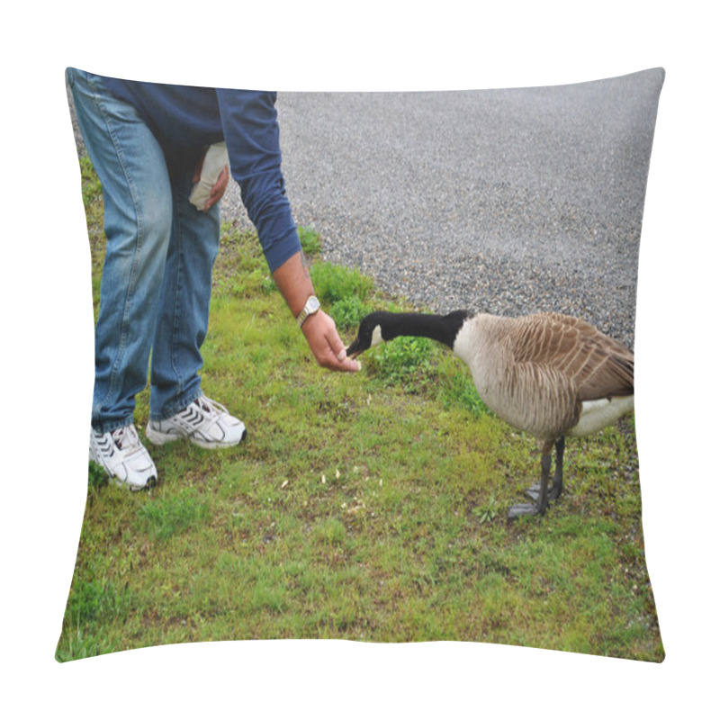 Personality  Feeding Geese Pillow Covers