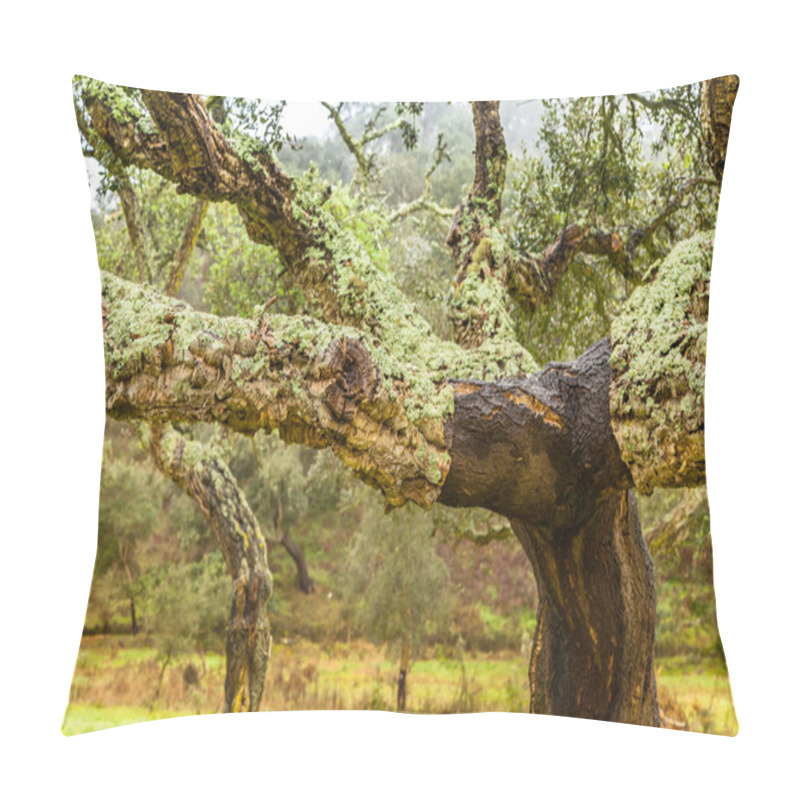 Personality  Cork Trees Natural Resources Landscape In Portugal Pillow Covers