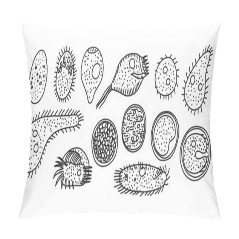 Personality  Ciliated Infusoria Origin And Development Modes, Vector Illustration. Pillow Covers