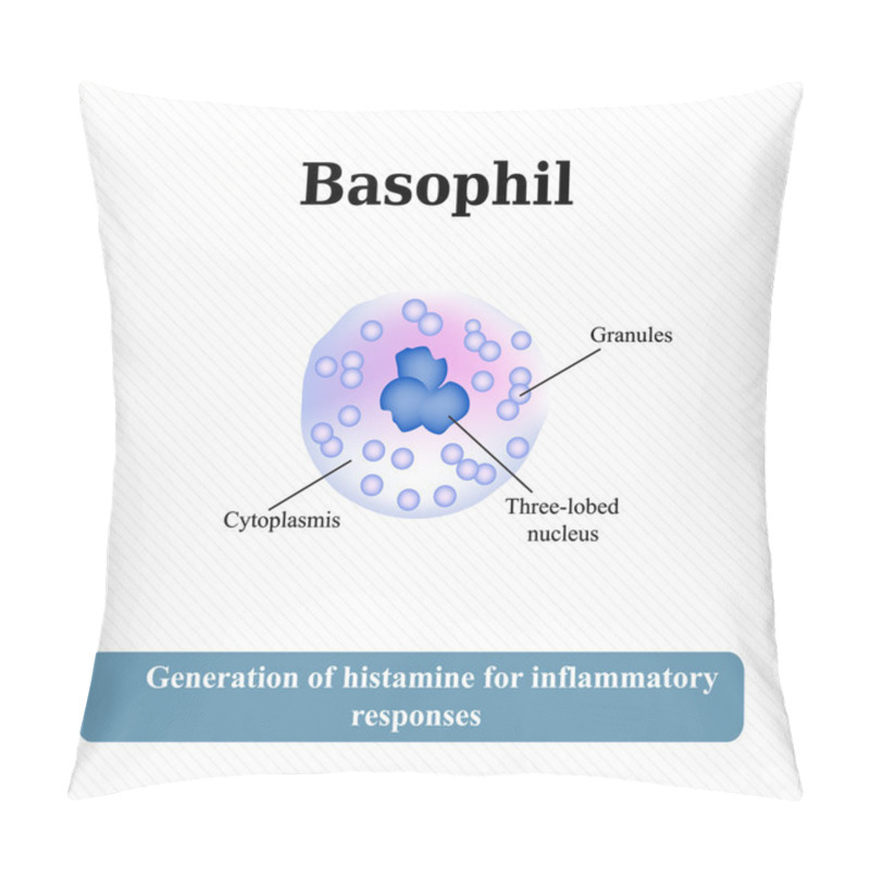 Personality  The Structure Of The Basophil. Vector Illustration Pillow Covers