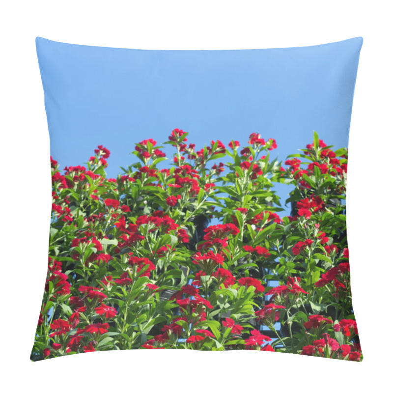 Personality  Red Carnations Pillow Covers