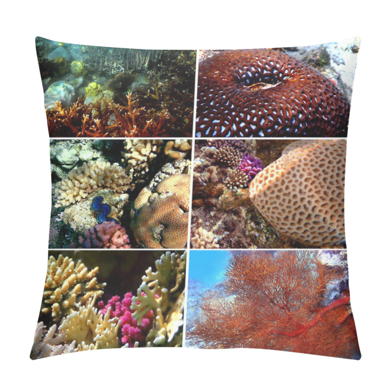 Personality  Set Of 6 Corals Images Pillow Covers