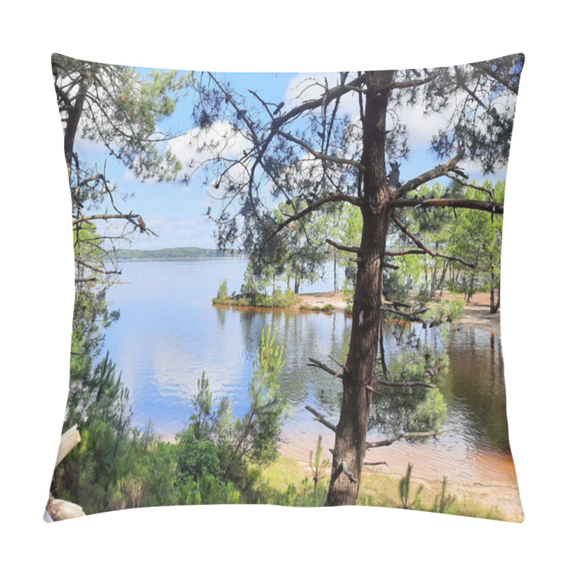 Personality  Lake Sandy Wild Natural Beach In Lacanau Gironde Aquitaine Pillow Covers