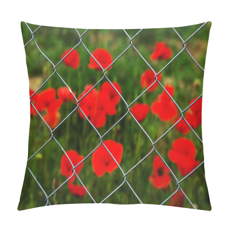 Personality  Field Of Red Opium Poppies Behind Metal Fence Net. Iron Grid Protects Field Of Opium Poppy. Beautiful Flowers Of Red Opium Poppies. Poppy Field Is Guarded Behind Grid Of Fence Pillow Covers