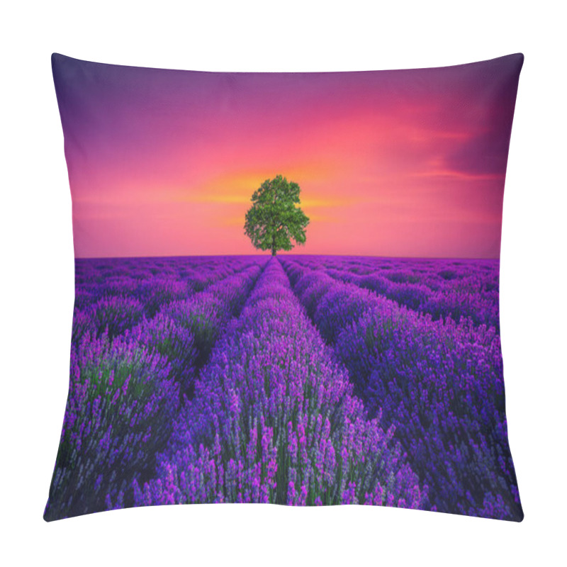 Personality  Tree And Lavender Flower Blooming Scented Fields In Endless Rows. Pillow Covers