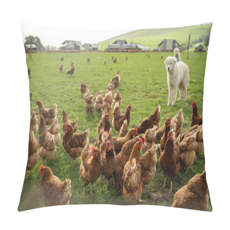 Personality  Free Range Chicken Farm In Australia, Pasture Raised Eggs On A Regenerative Sustainable Agricultural Farming On Green Grass In A Field Paddock Pillow Covers