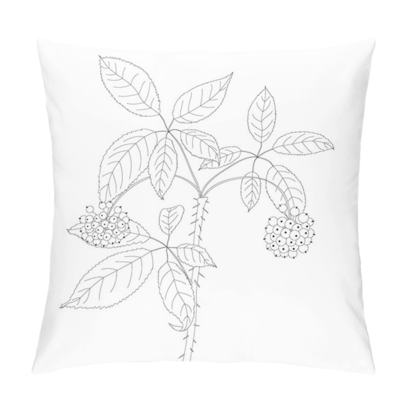 Personality  Vector Lettering.Typography Design Element. Pillow Covers