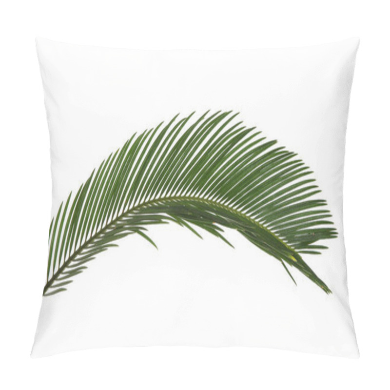 Personality  Beautiful Tropical Sago Palm Leaf On White Background Pillow Covers