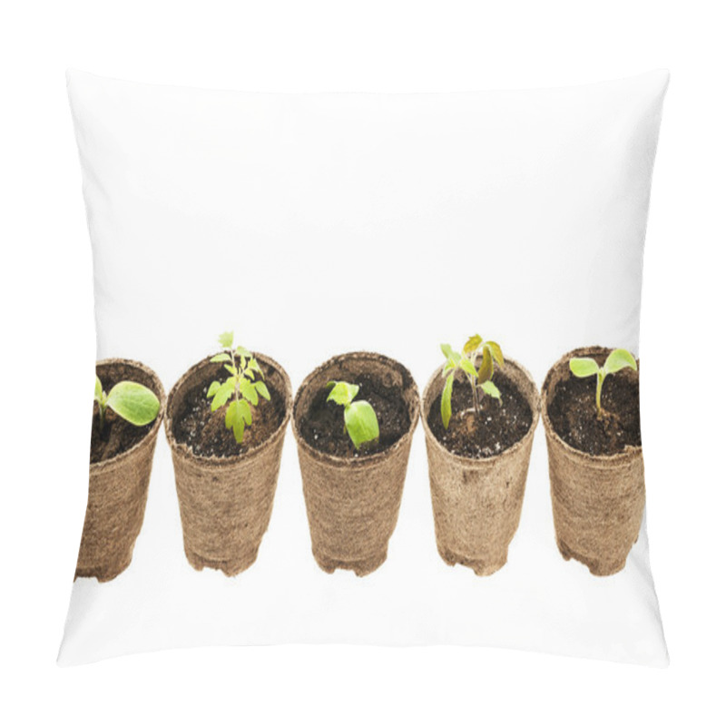 Personality  Seedlings Growing In Peat Moss Pots Pillow Covers