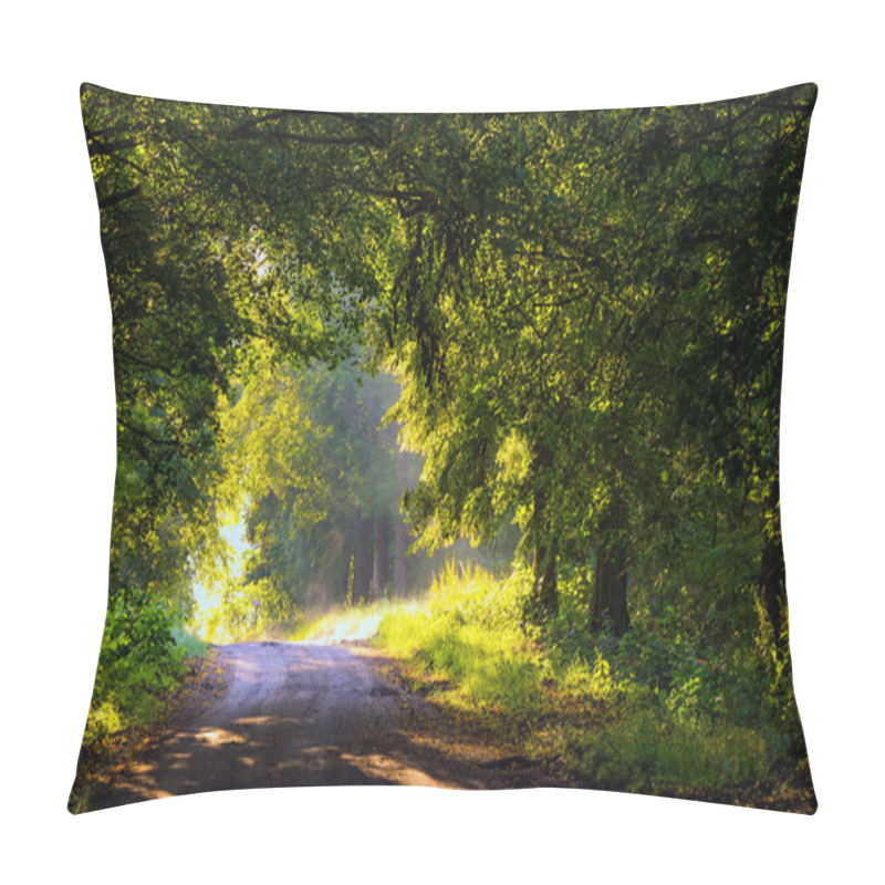 Personality  Beautiful Trees Alley Illuminated By Morning Light. Pillow Covers