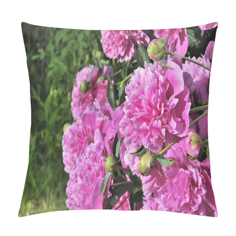 Personality  Beautiful Pink Peony Bush In The Garden Pillow Covers