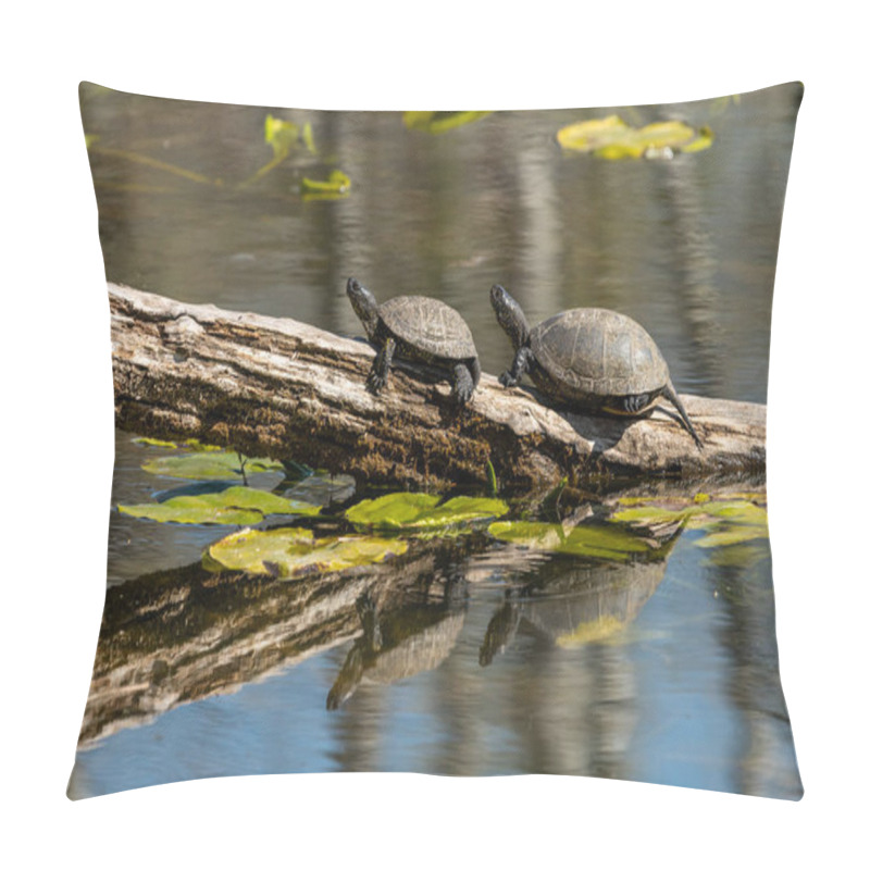 Personality  Closeup Of European Pond Turtles (Emys Orbicularis) Sunbathing On A Piece Of Wood In A Pond Pillow Covers