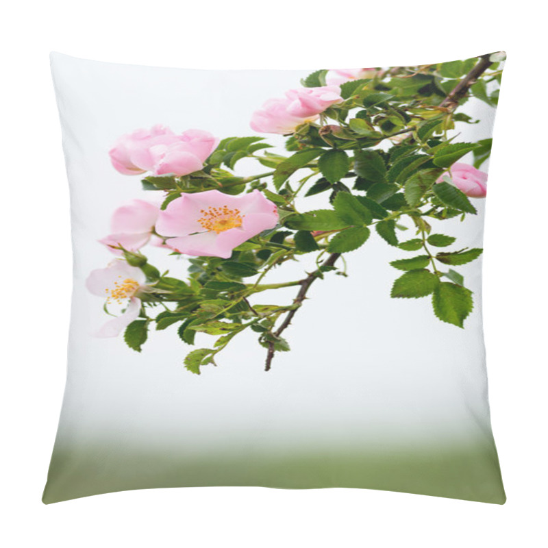 Personality  Briar Pillow Covers