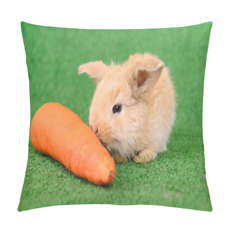 Personality  Rabbit With Carrot Pillow Covers