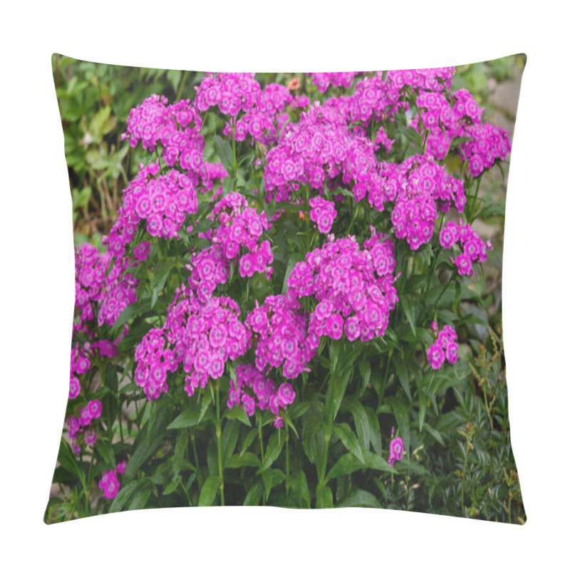 Personality  Flowers Of Dianthus In Garden In Green Background Pillow Covers