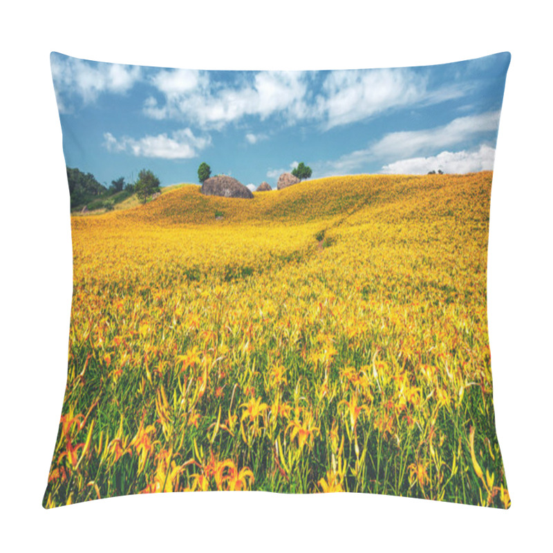 Personality  Sea Of Daylily Flowers In Mountain Pillow Covers