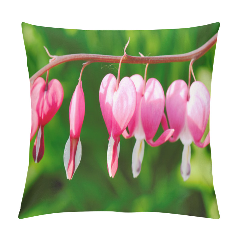 Personality  Several Blossoms Of Dicentra Pillow Covers