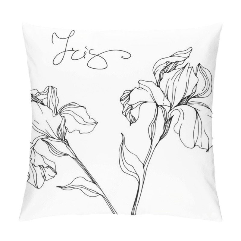 Personality  Vector Monochrome Isolated Irises Illustration On White Background Pillow Covers