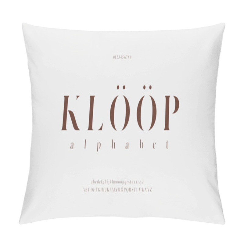 Personality  Alphabet Elegant Letters Font And Number. Classic Lettering Minimal Fashion Designs. Typography Fonts Regular Uppercase And Lowercase. Vector Illustration Pillow Covers