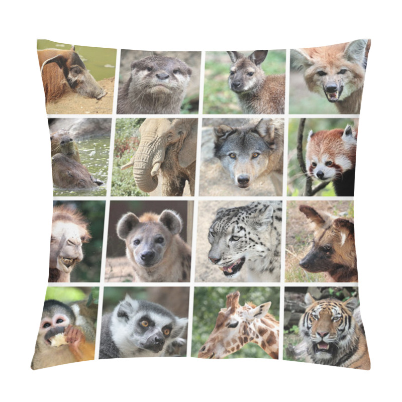 Personality  Animal Mammals Collage Pillow Covers