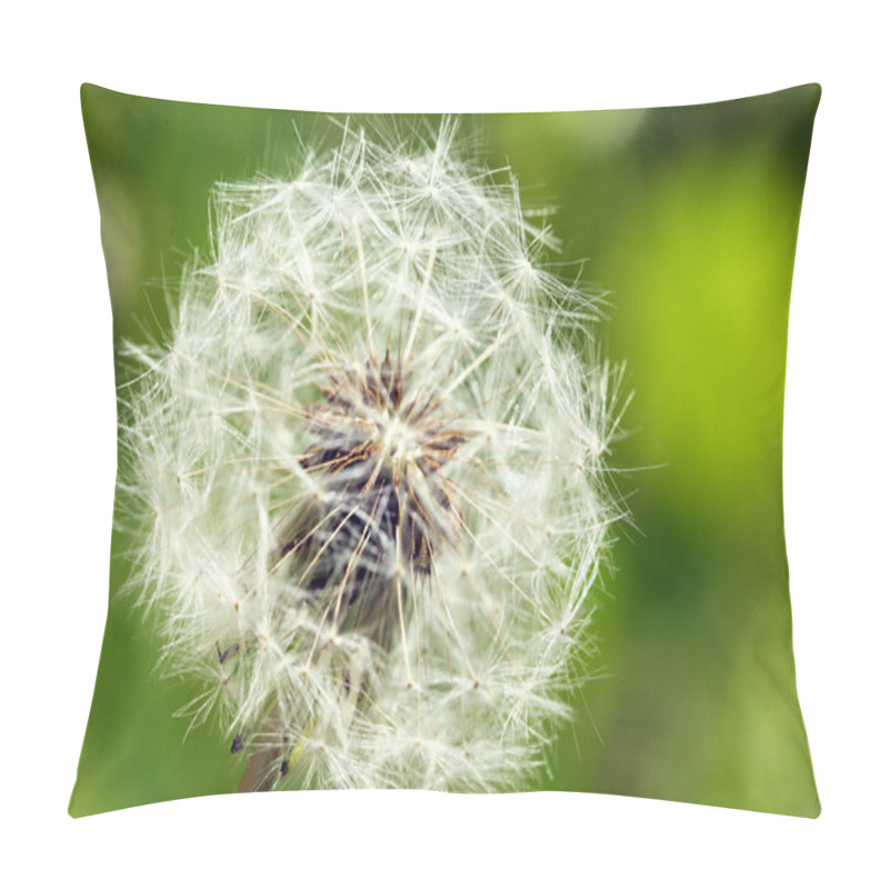 Personality  Dandelion Flower Outdoors Pillow Covers