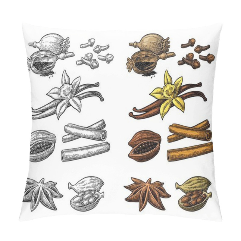 Personality  Set Of Spices. Anise, Cinnamon, Cocoa, Vanilla, Poppy Pillow Covers