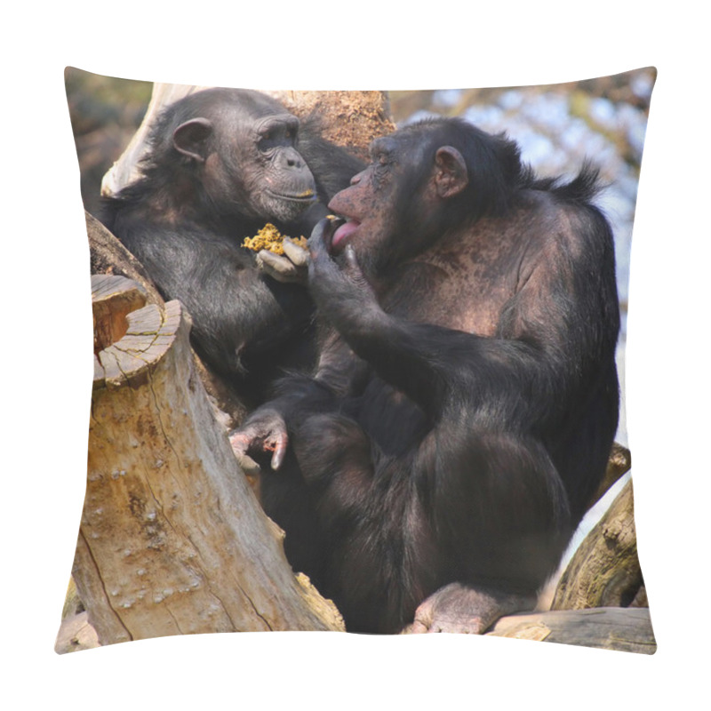 Personality  Two Adult Chimpanzees Diner And Talking Pillow Covers