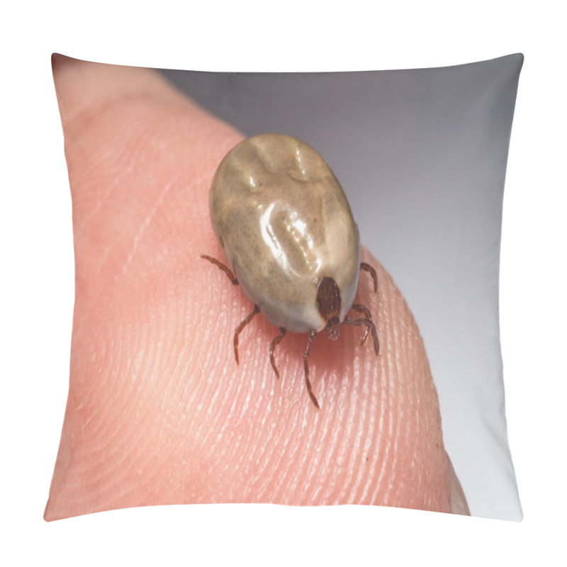 Personality  Big Tick Sucking Blood Is Ready To Breed.On Hunam Hand. Pillow Covers