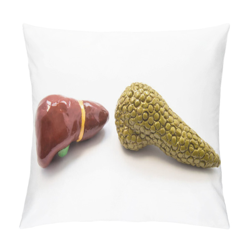 Personality  Concept Of The Hepatobiliary System. Anatomical Models Of Liver And Pancreas Lie Nearby On A White Background. Diseases And Pathology Of Hepatobiliary System, Diagnostics, Scan, Surgery And Treatment Pillow Covers